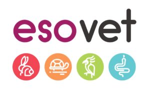 esovet_logo